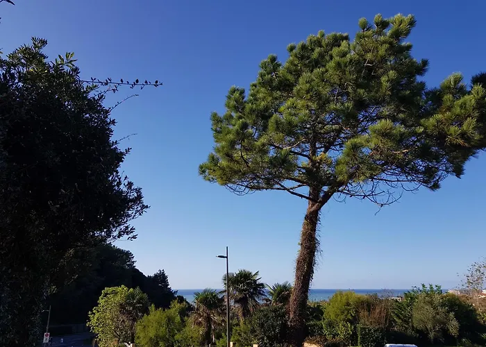 Daire Dans De Standing Avec Parking Et Sa Terrasse Vue *